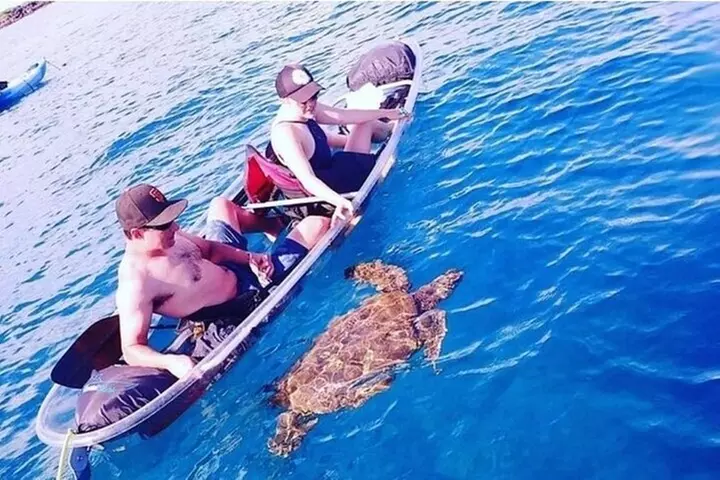 Clear Bottom Kayak and Snorkel Tour at Turtle Town, Makena