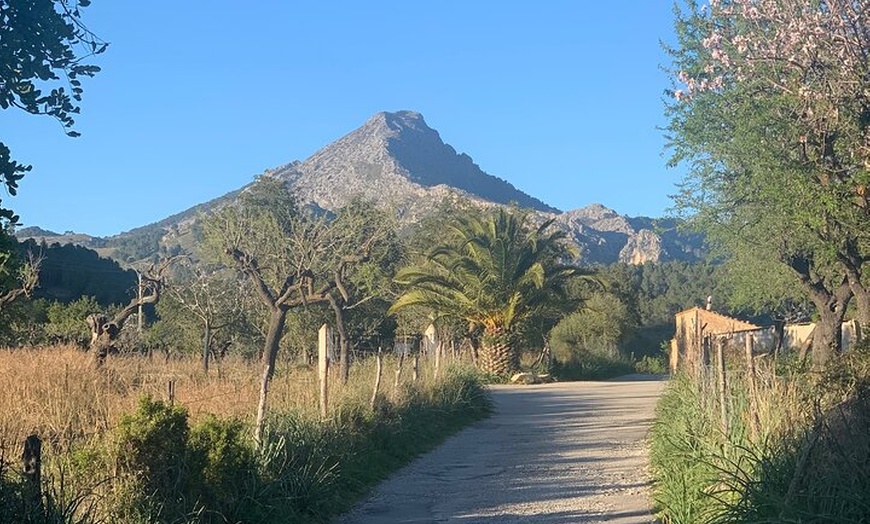 Image 18: Sierra de Tramuntana caminata con pequeño picnic