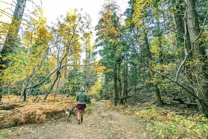 Family-Friendly Nature Hike around the Big Bear Valley