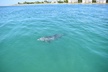 Half-Day Private Tiki Boat Beach Tour from Fort Myers - Second Medium