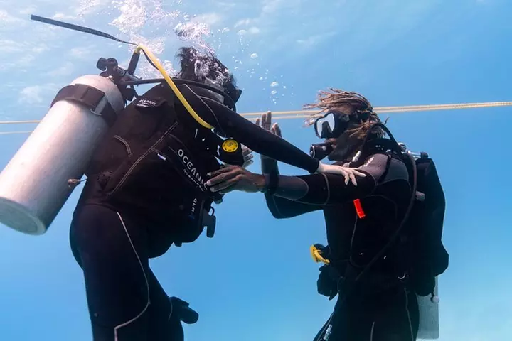 Incredibly Fun Coral Reef Giant Sea Turtles 4hour Boat Scuba Tour