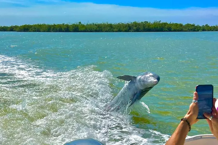 Manatee, Dolphin and 10,000 Islands Sunset Cruise!