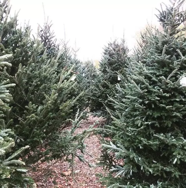 $20 For $40 Worth Of Goods & Services