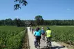 Excursion à vélo en Bourgogne avec dégustation de vins au départ de Beaune - Image 2