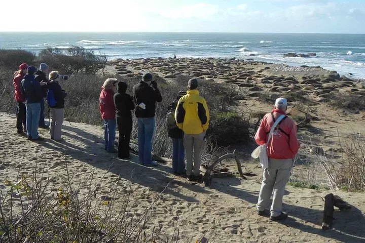 Smartphone Driving Tour between Santa Maria & Monterey 'Big Sur'