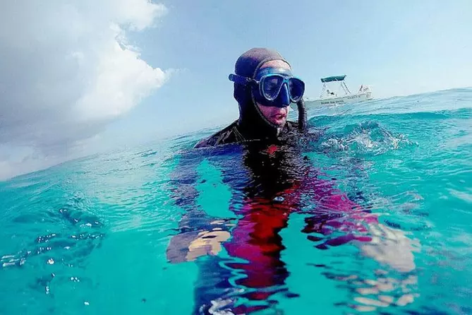 2 Hour Spearfishing Tour - Primary Image