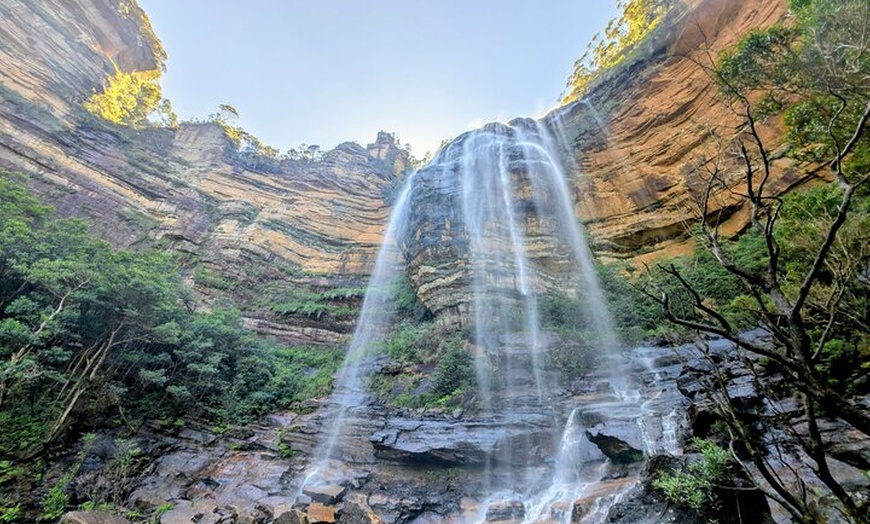 Image 10: Blue Mountains Day Tour : Featherdale & Bush walk (15 ppl LUX)