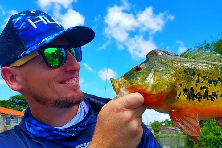 Peacock Bass Fishing Trips Near Miami Florida