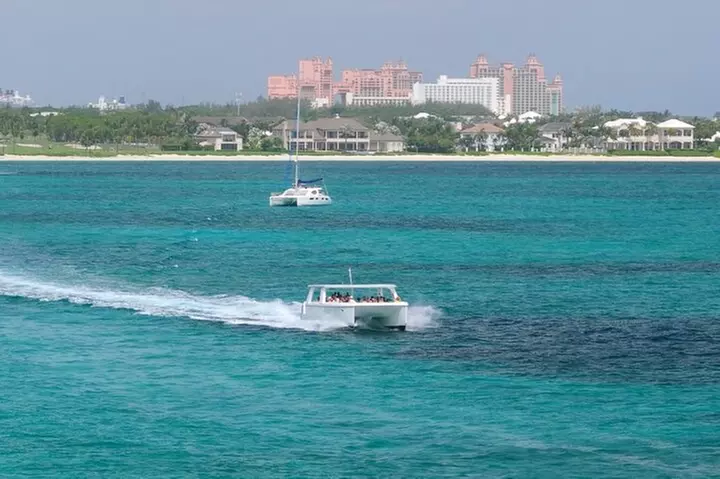 Bahamas: Swimming Pigs, Snorkeling, Beach Break Package