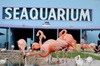 General Admission to the Miami Seaquarium