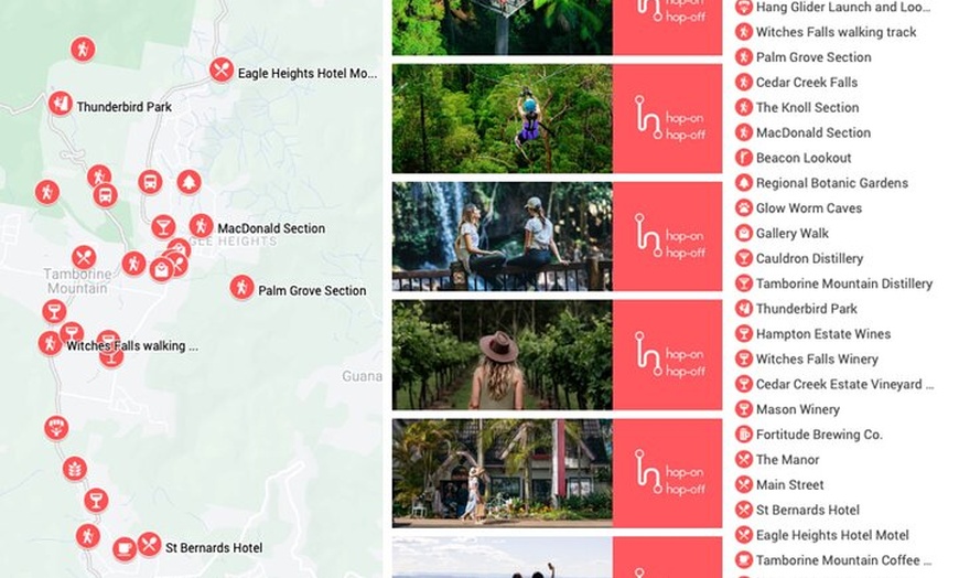 Image 12: Hop on Hop off - Tamborine Rainforest Skywalk + Glow Worm Caves