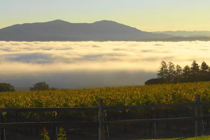 Monterey Tasting Priority Pass - Primary Image