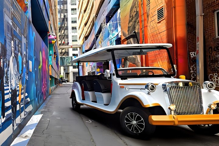 Charlotte:Historical Southern Elegance Guided Tour by Vintage Car