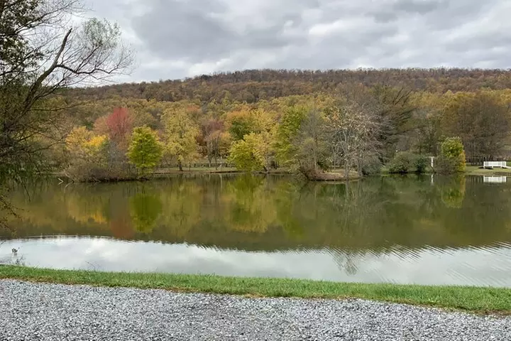 Private Loudoun County Wine Tour from DC with Stops at 3 Wineries