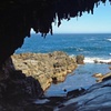 Image 30: Adelaide: Kangaroo Island 2-Day Epic Adventure Small Group tour