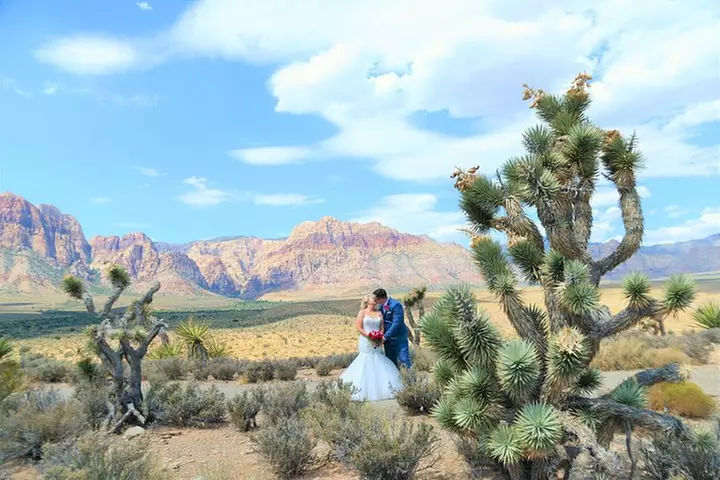 Red Rock Canyon Wedding by Private Limousine
