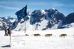 Anchorage Summer Glacier Dogsledding Tour - Second Medium