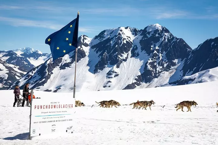 Anchorage Summer Glacier Dogsledding Tour