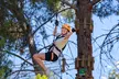 Take the Challenge and Conquer the Salisbury Treetops - Image 4