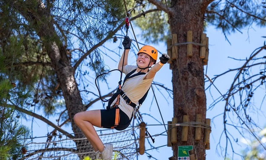 Image 4: Take the Challenge and Conquer the Salisbury Treetops