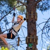 Image 4: Take the Challenge and Conquer the Salisbury Treetops