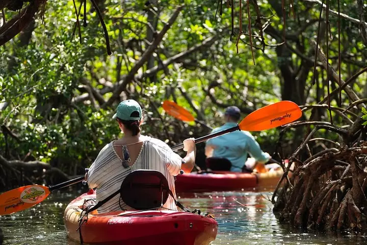 Sarasota Kayak and Food Tour