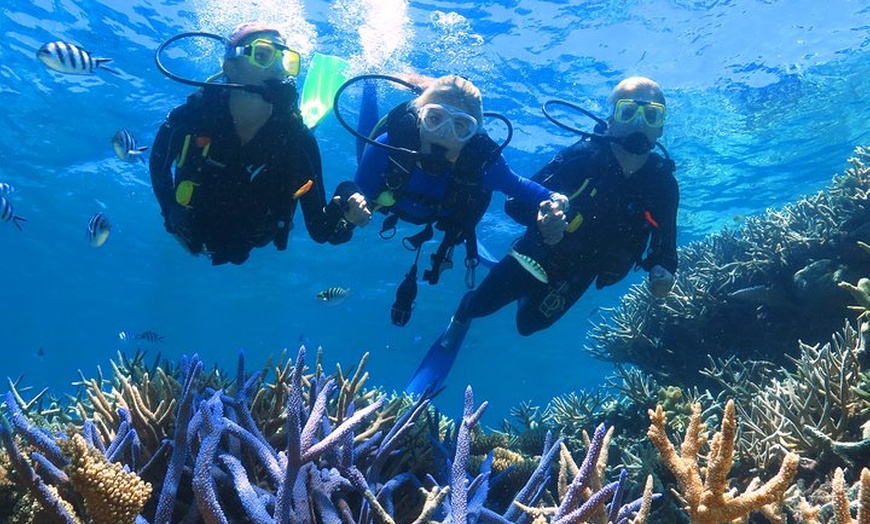 Image 6: Quicksilver Outer Great Barrier Reef Snorkel Cruise from Palm Cove