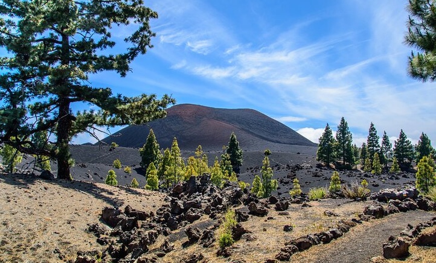 Image 8: Viajes en el tiempo entre los volcanes Trevejo y Chinyero en Tenerife