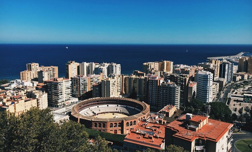 Image 13: Excursión privada de 10 horas a Málaga con sesión de fotos gratuita