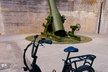 Electric Bike Wildlife & History Tour along Fort De Soto's Beaches - Second Medium
