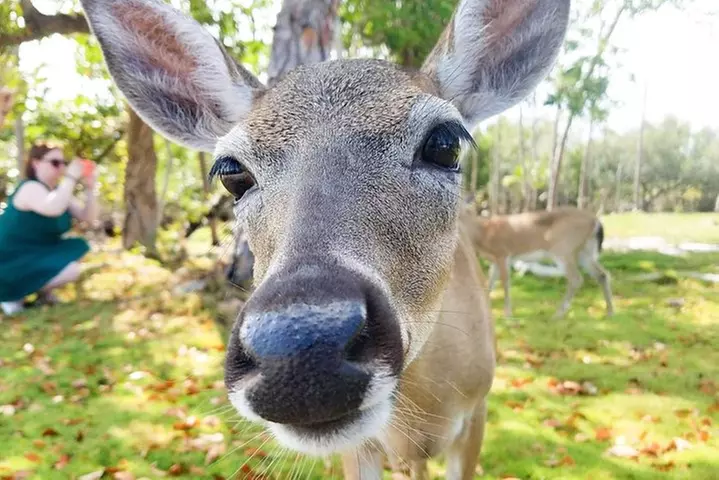 Florida Keys Nature & History Tour from Key West - Primary Image