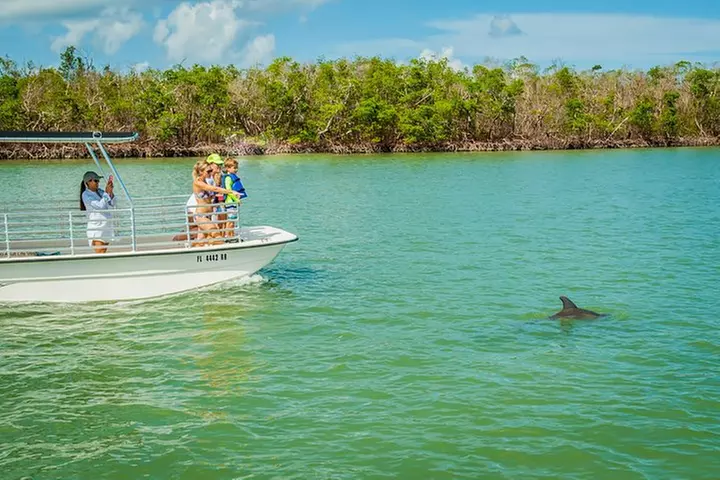 Marco Island Dolphin Sightseeing Tour