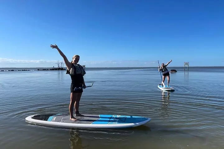 Wildlife Refuge Manatee, Dolphin & Mangrove Kayak or Paddleboarding...