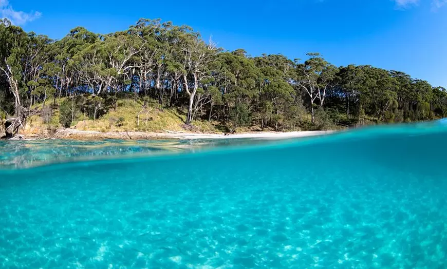 Image 7: Jervis Bay Private Tour - Pick up & Drop off