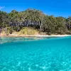 Image 7: Jervis Bay Private Tour - Pick up & Drop off