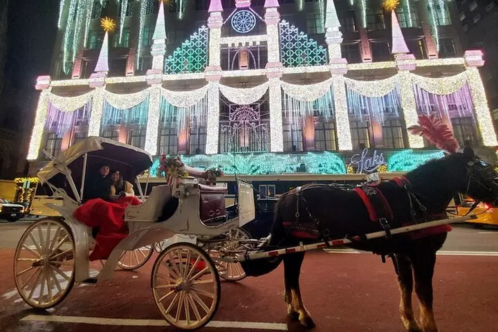 New York City Christmas Lights Private Horse Carriage Ride - Primary Image