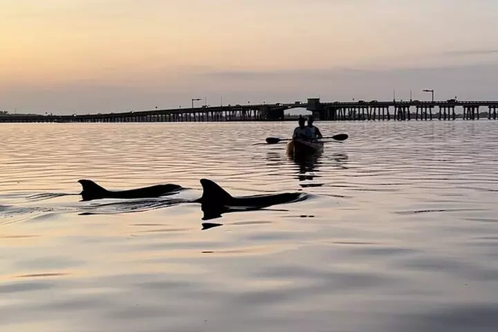 Sunset Kayaking with Dolphins