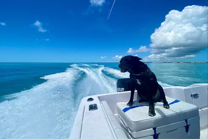 Explore the Waters of Key West - Primary Image