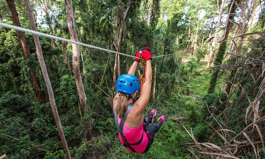 Image 2: Sunshine Coast Adventure Park TreeTop Challenge