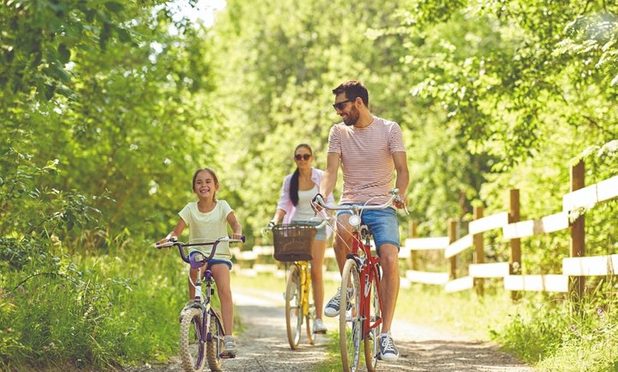 Image 3: Excursion en Vélo électrique en Camargue