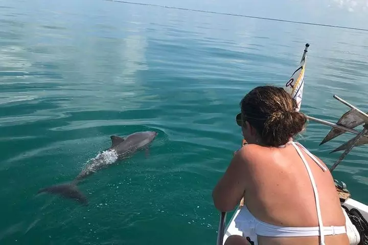Private Afternoon Charter Boat Tour from Key West - Primary Image