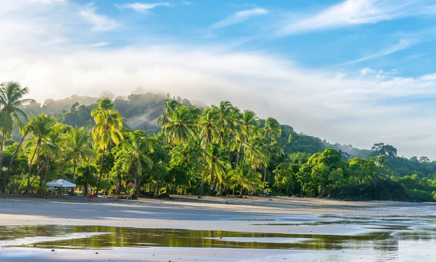 Image 5: ✈ COSTA RICA | Da San José a Manuel Antonio - Les Merveilles du Cos...