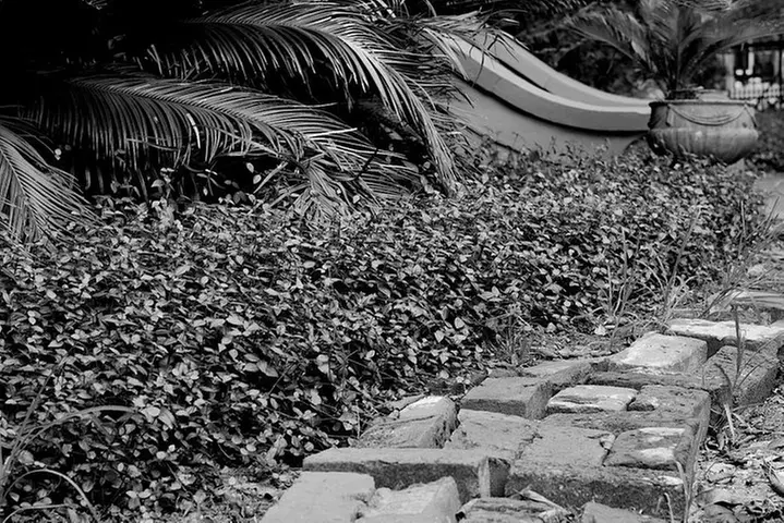 Genteel and Bard's Savannah Dark History and Ghost Encounter Walkin...