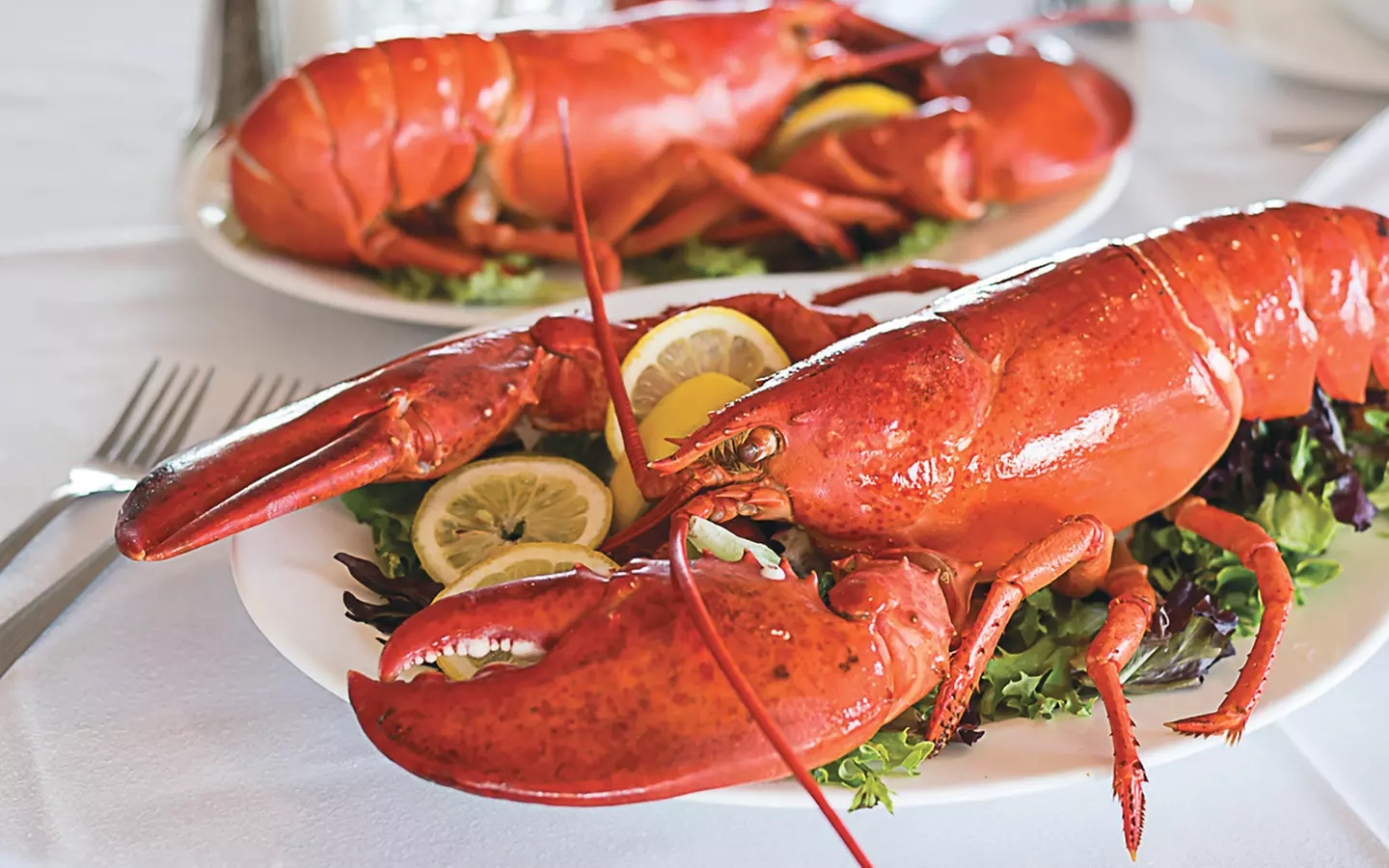 $20 For $40 Worth Of Casual Dining - Primary Image