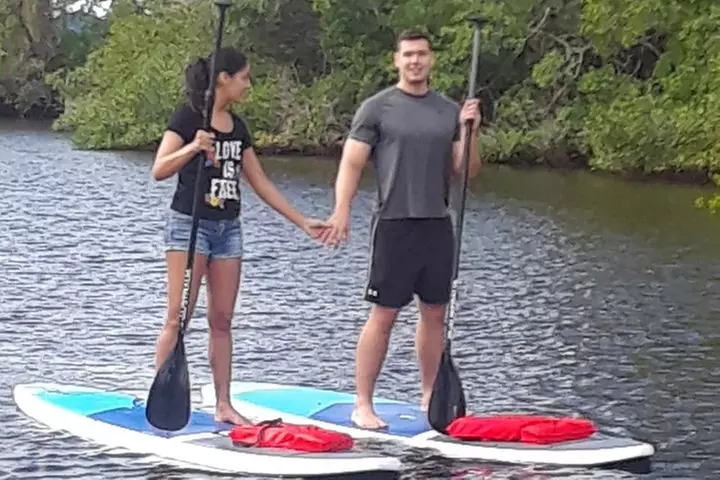 Naples Fl, Paddleboard Mangrove Forest Tour