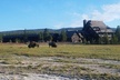 Yellowstone's Upper Geyser Basin: A Self-Guided Audio Tour - Second Medium