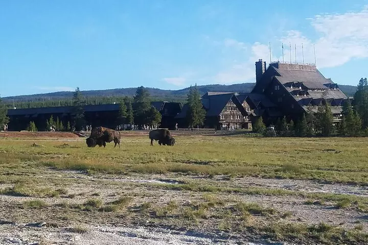 Yellowstone's Upper Geyser Basin: A Self-Guided Audio Tour