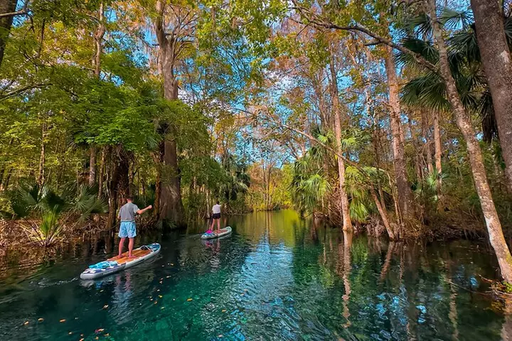 Silver Springs Manatee & Monkeys Paddle Board Tour