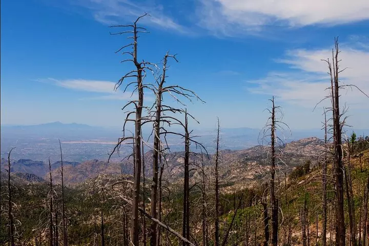Mount Lemmon Self-Guided Driving Audio Tour