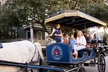Historic Charleston Horse-Drawn Carriage Tour – Sight-Seeing Tour - Second Medium